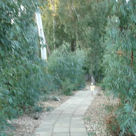 公寓 Sonia Club 皮佐