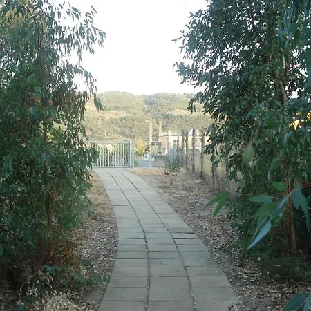 Sonia Club Pizzo (Calabria)